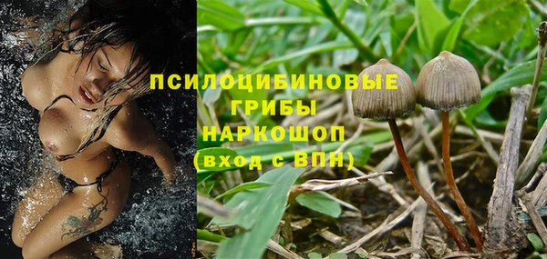 прущие грибы Алексин